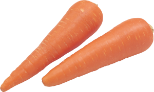 Carrot PNG image-4993